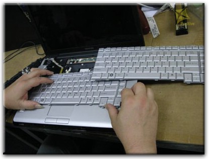 Ремонт клавиатуры на ноутбуке Toshiba в Бресте